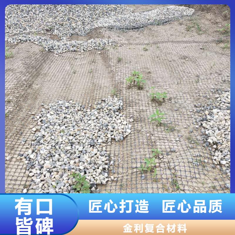 土工格柵\抗裂貼土工膜用品質說話