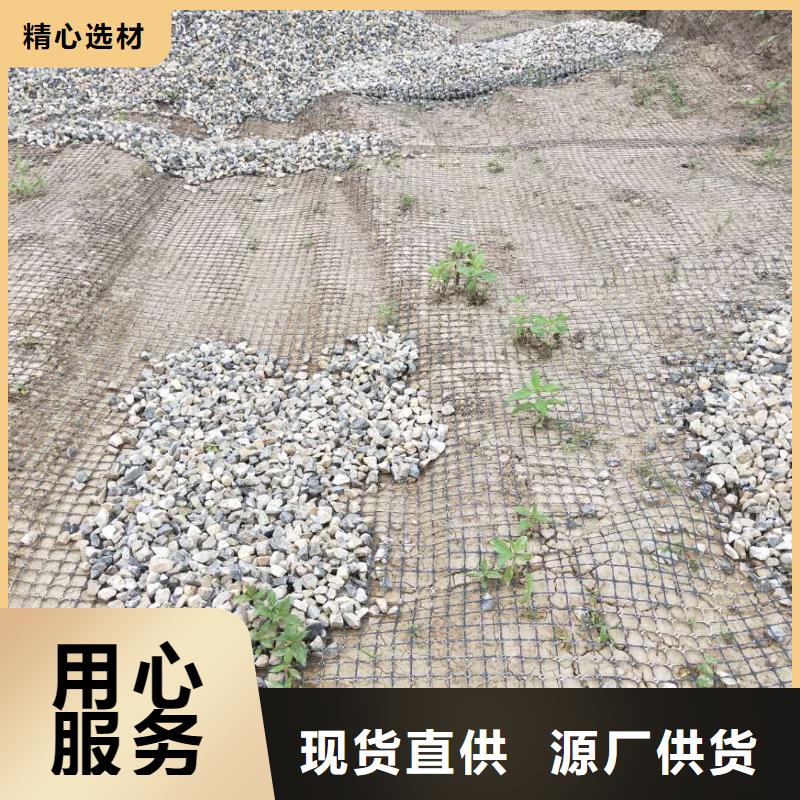 防裂貼廠家價格