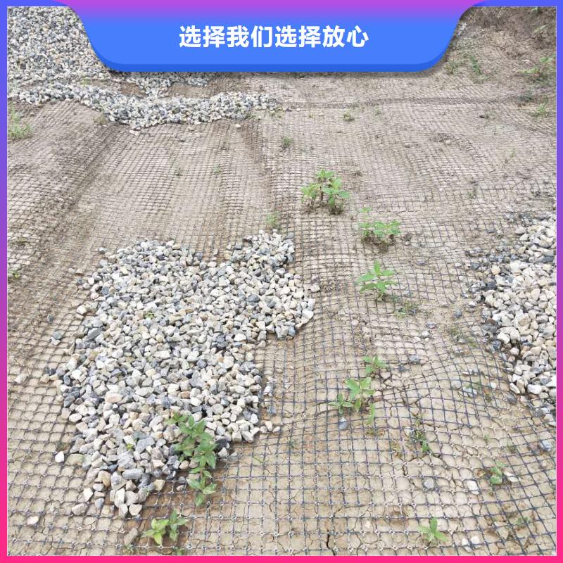 塑料拉伸土工格柵廠家價(jià)格