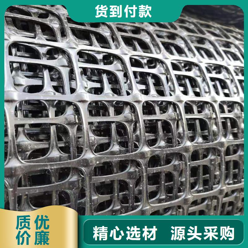雙向土工格柵型號齊全
