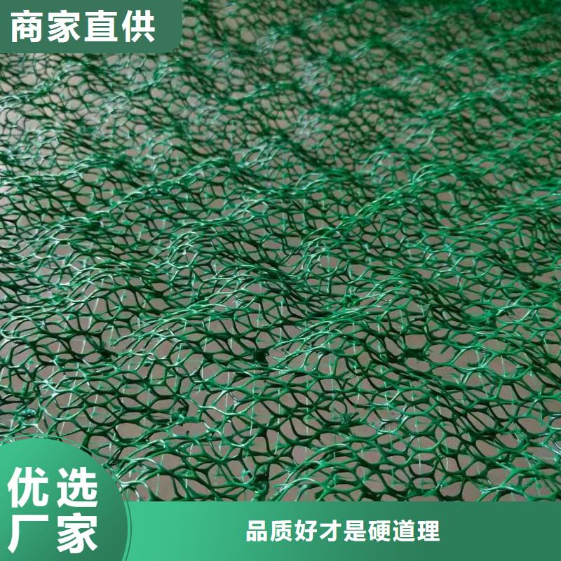 土工布鋼塑土工格柵一個起售