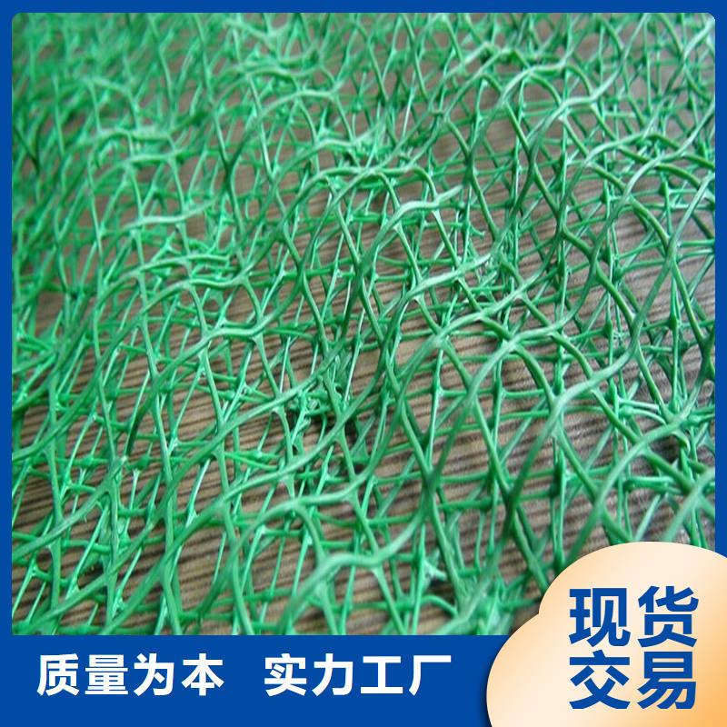土工布塑料格柵品質過硬