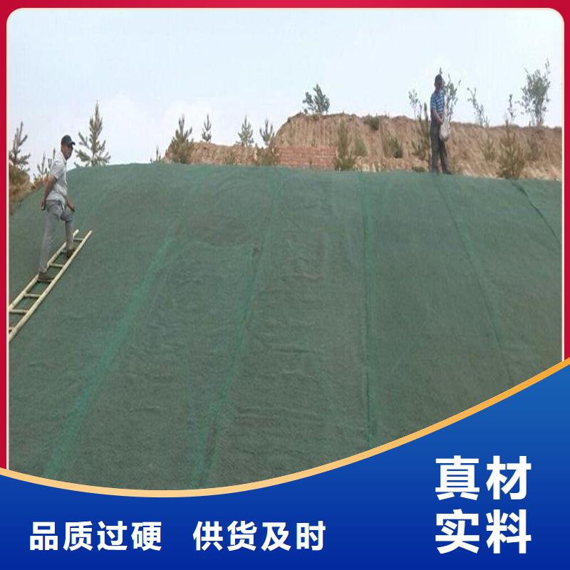 道路土工布廠家直銷