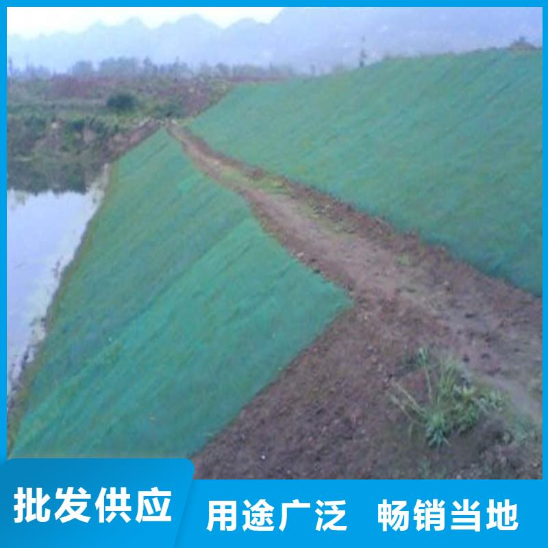 土工布鋼塑土工格柵一個起售