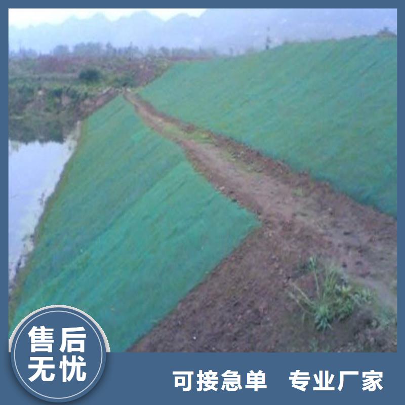 土工布礦用格柵精心打造