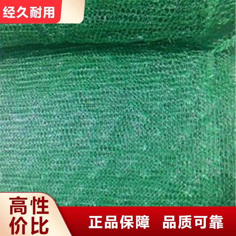土工布-植草格實體誠信廠家
