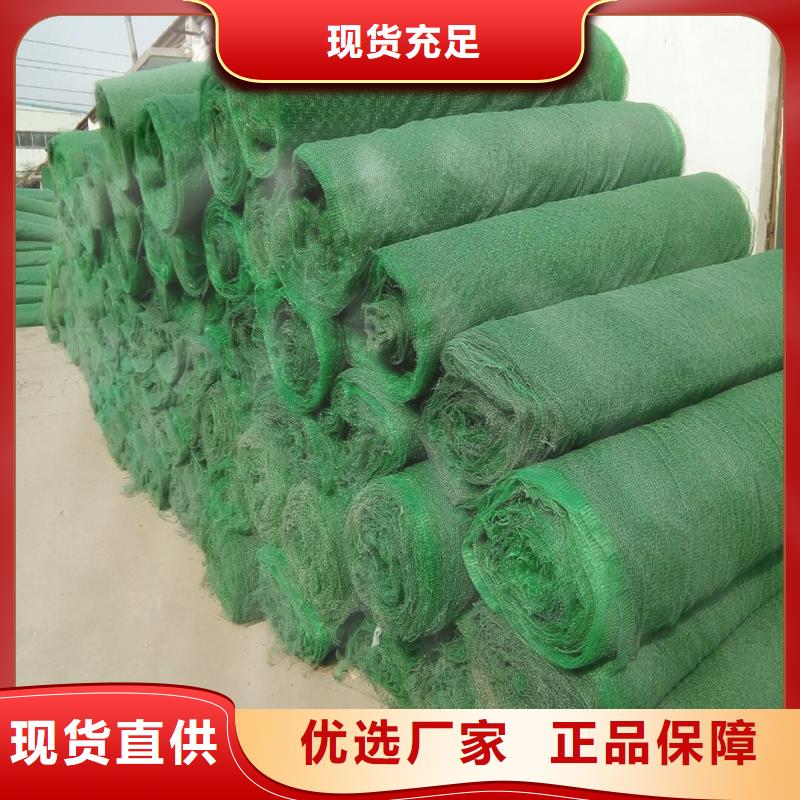 土工布滌綸格柵講信譽保質量