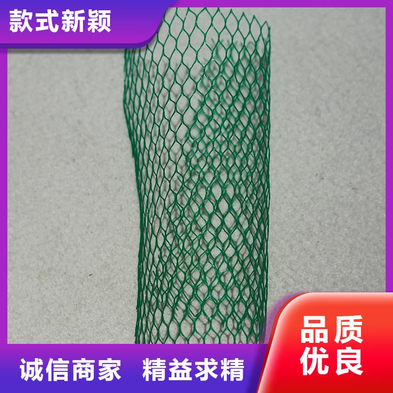 土工布-植草格實體誠信廠家