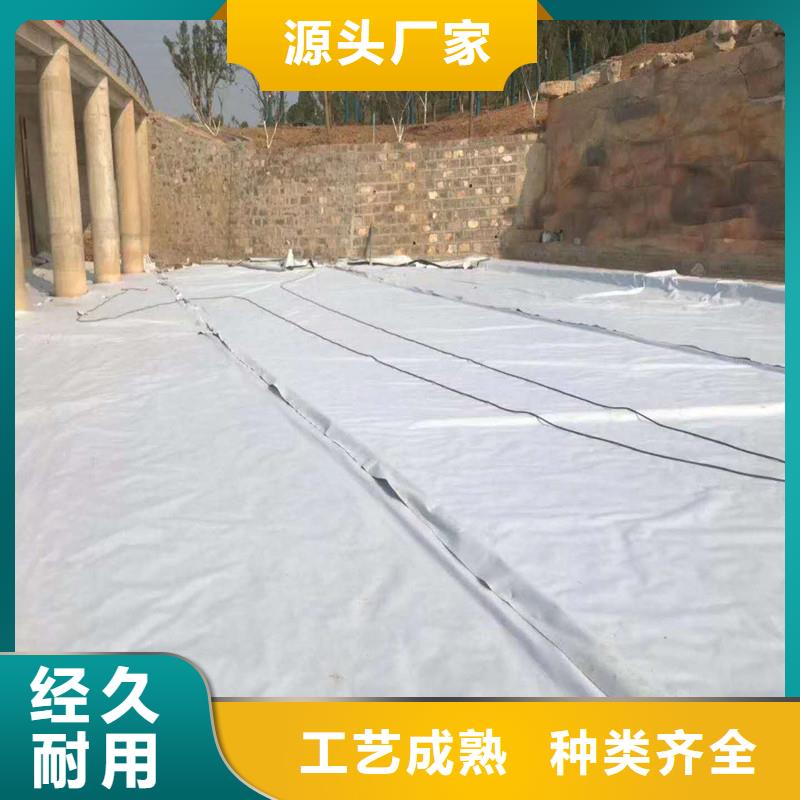 防滲土工膜生產(chǎn)廠家