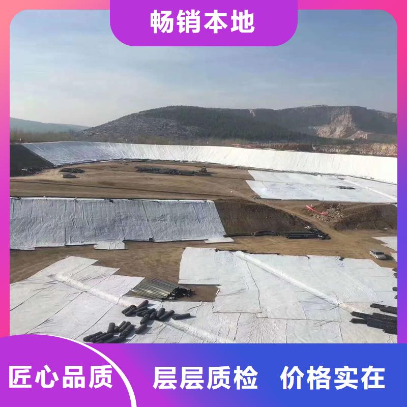 土工布滌綸格柵服務(wù)至上