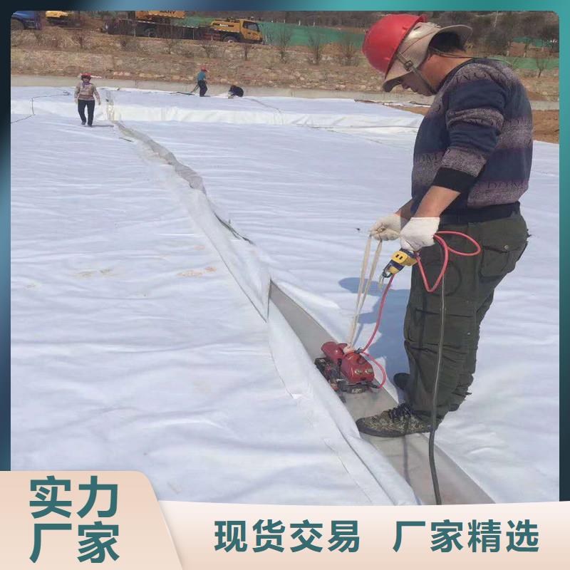 道路土工布廠家直銷