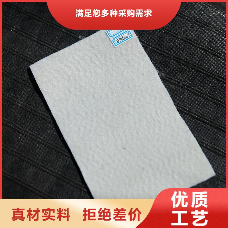 土工布滌綸格柵服務(wù)至上