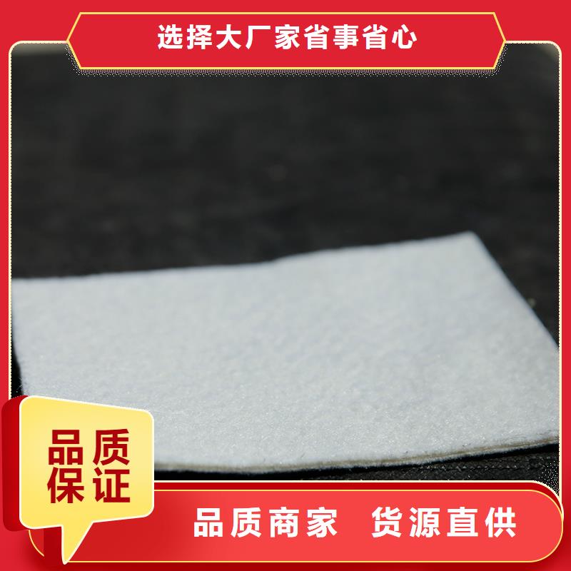 土工布聚丙烯长丝土工布品质有保障