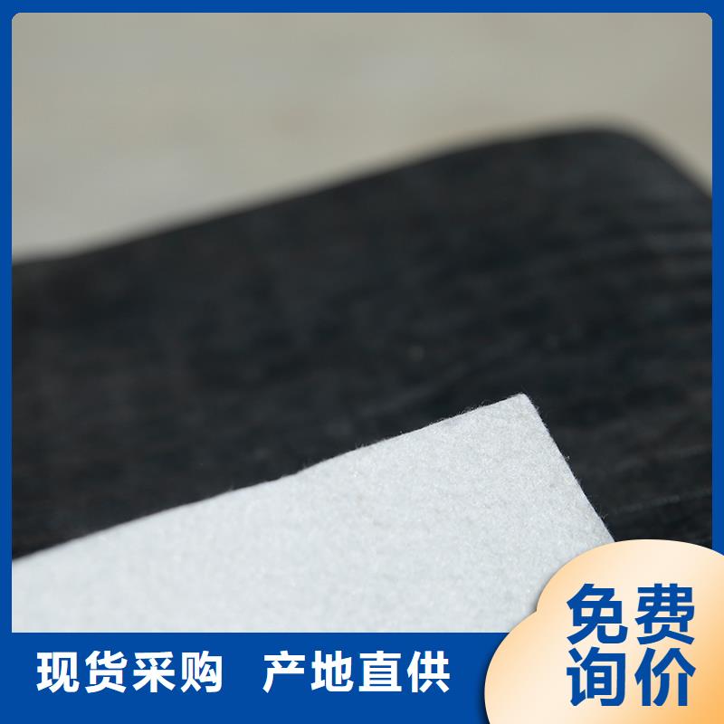 土工布鋼塑土工格柵一個起售