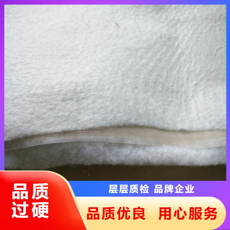 防滲土工布廠家