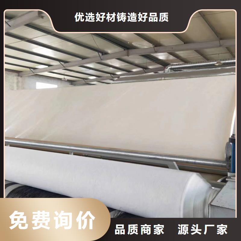 土工布復(fù)合膜老客戶鐘愛