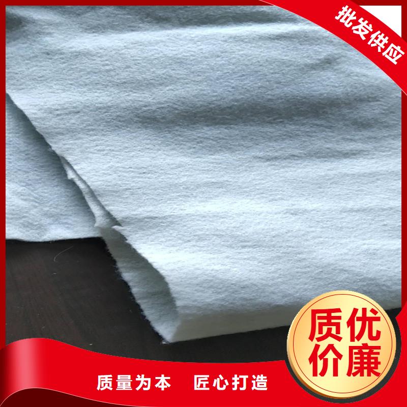 防滲土工膜生產(chǎn)廠家