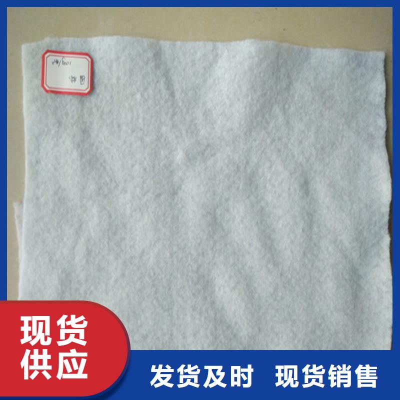 【土工布土工格柵支持加工定制】