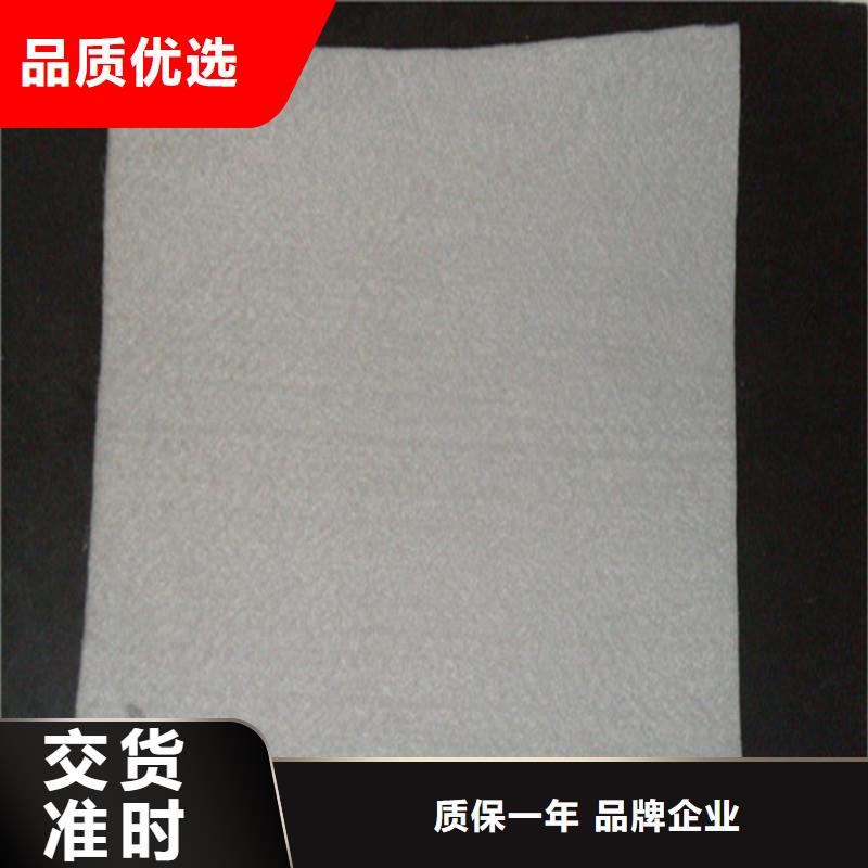 土工布滌綸格柵服務(wù)至上