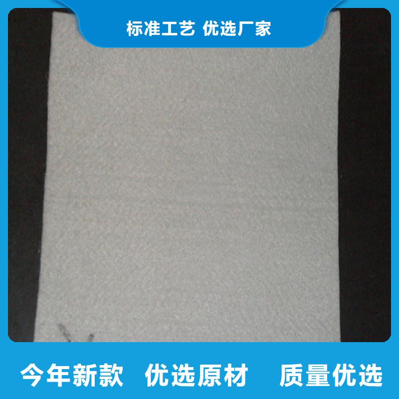 土工布鋼塑土工格柵一個起售