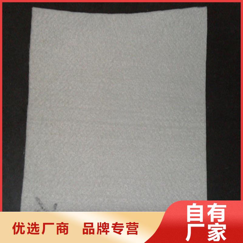 土工布拉筋带批发价格