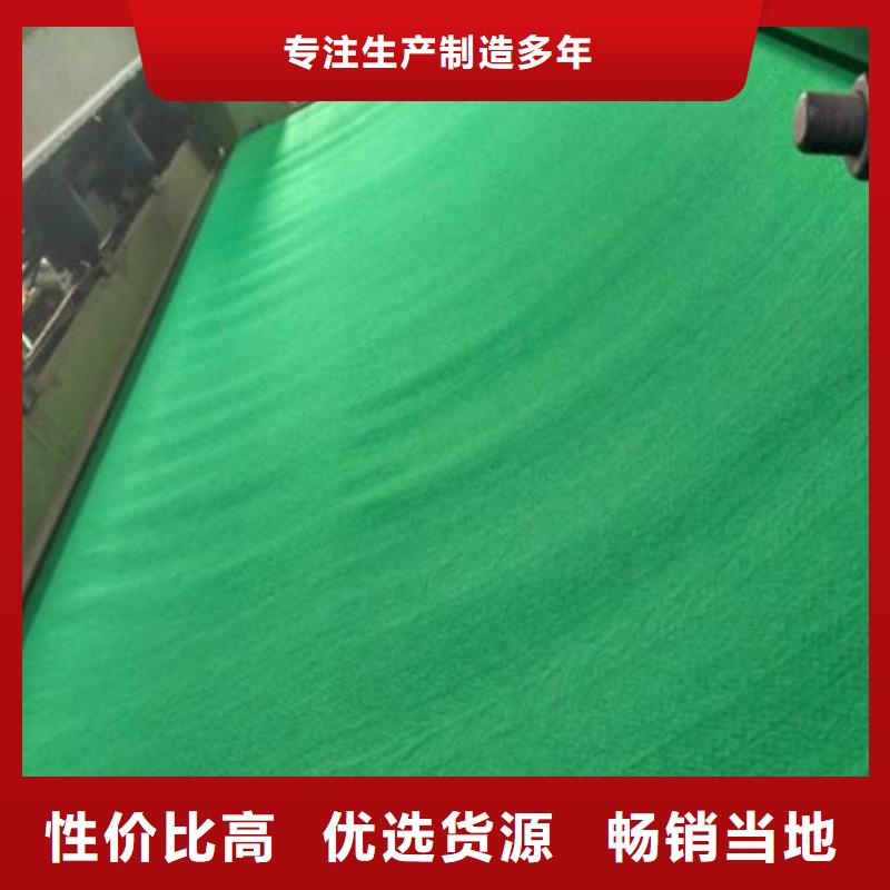 土工布鋼塑土工格柵一個起售
