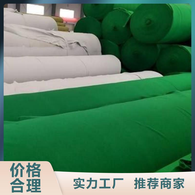土工布拉筋带批发价格