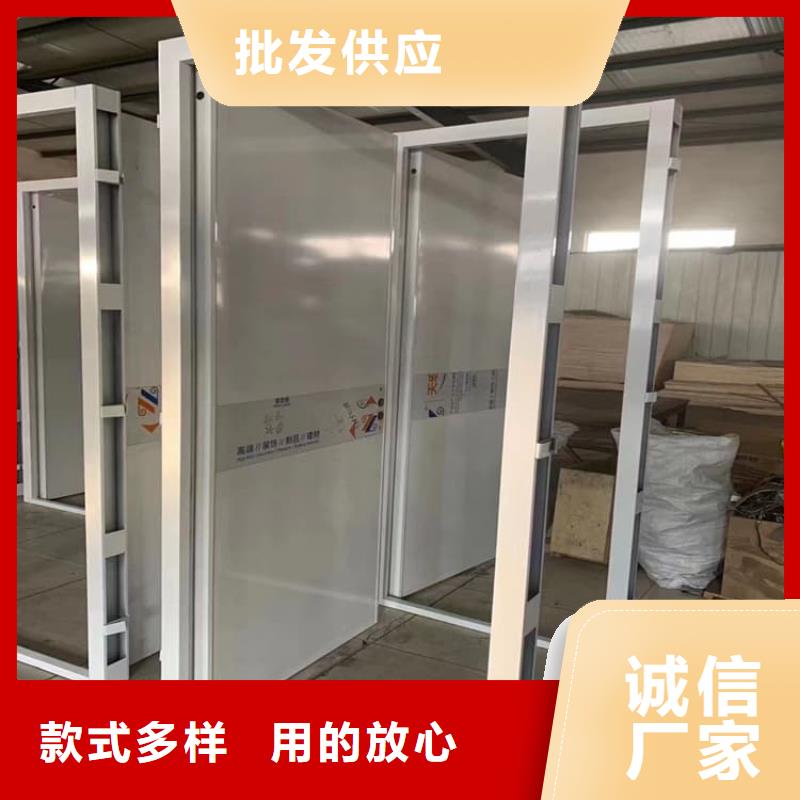 子母电动铅门-欢迎选购