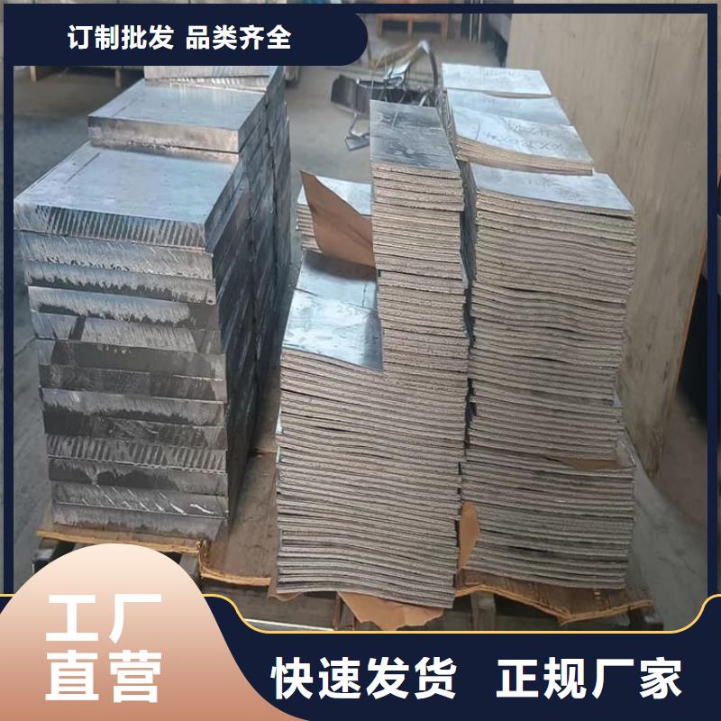可定制的屏蔽核輻射用鉛塊廠家