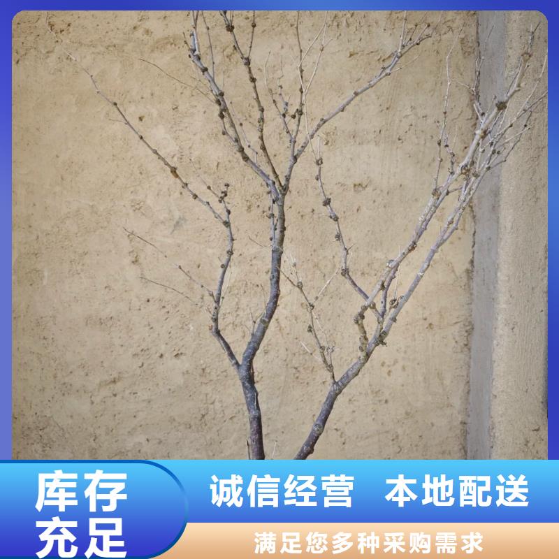 仿夯土稻草漆施工#内外墙稻草漆#民宿改造#乡村建设