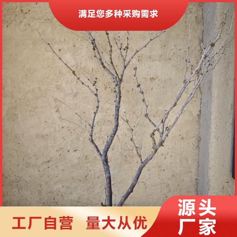 斷層仿泥巴墻涂料價格#生態(tài)稻草漆#老房翻新#農家小院