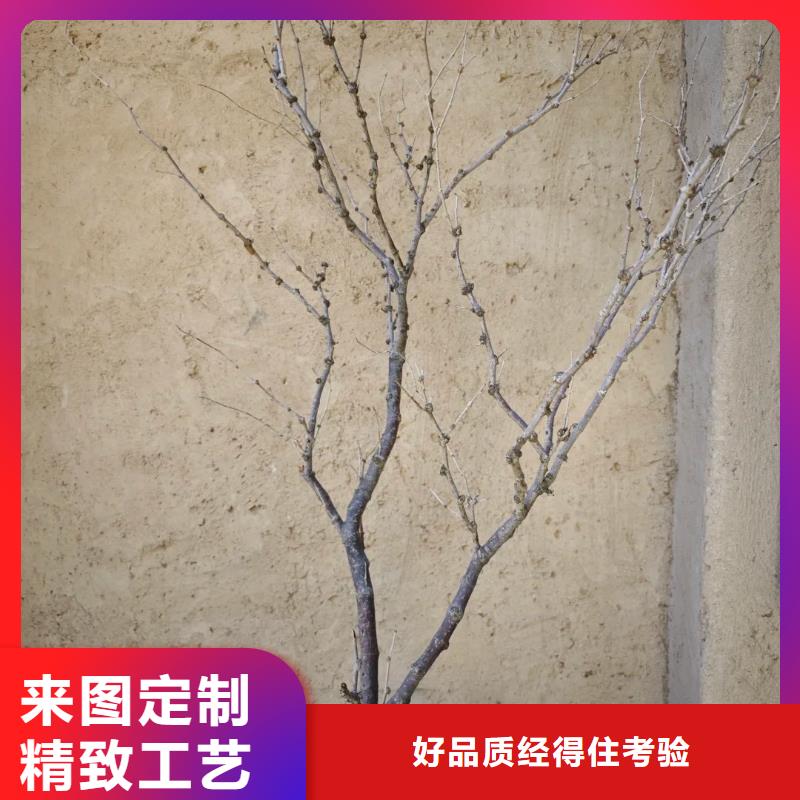 仿五花斷層夯土漆施工#生態稻草漆#老房翻新#農家小院