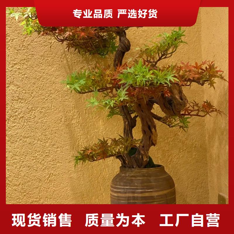 全包施工仿夯土漆質優價廉
