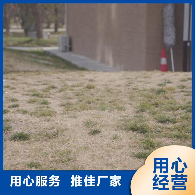 仿夯土漆施工報價買的放心