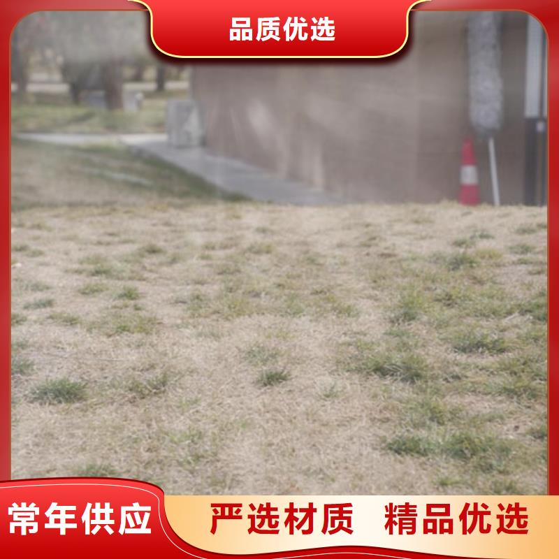 外墻夯土漆廠家批發(fā)售后無憂