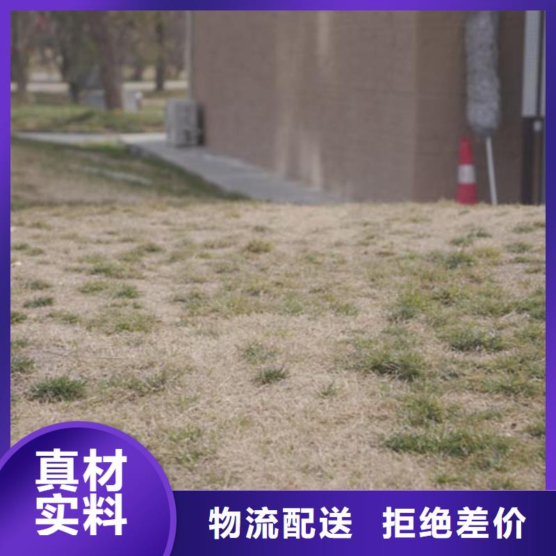 多少錢仿夯土涂料