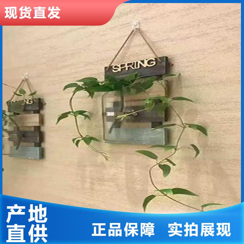 質感肌理漆口碑好