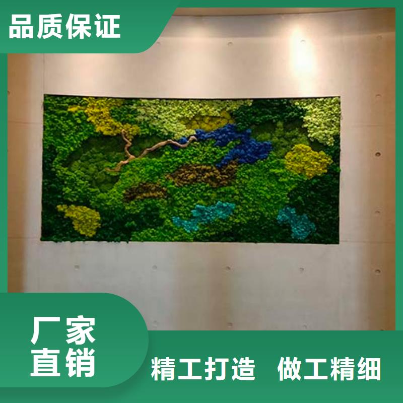 室内水泥漆口碑好