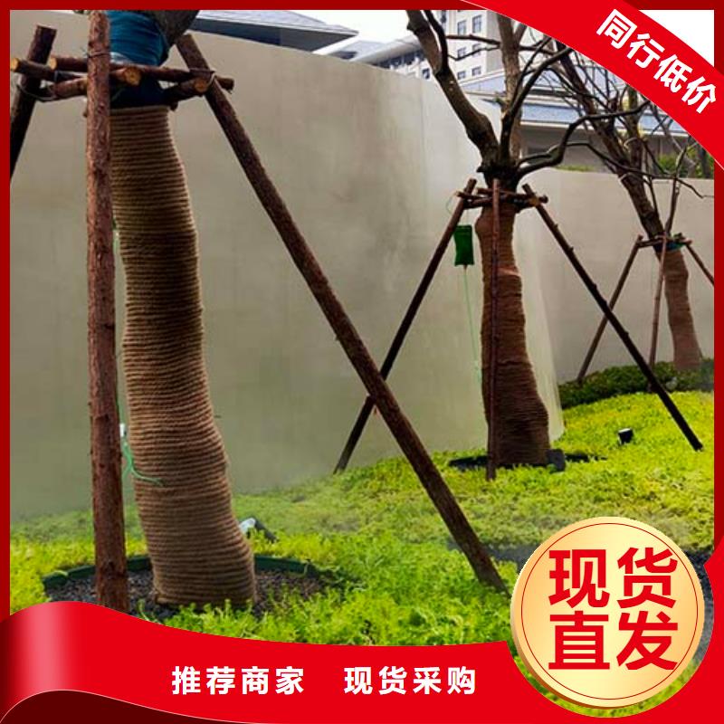 水泥漆稻草漆精品選購