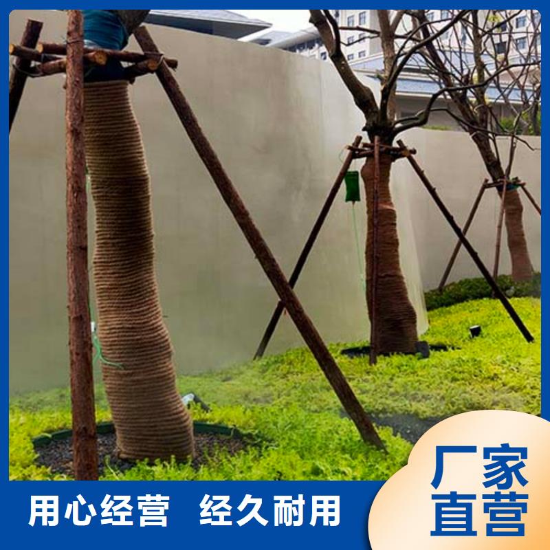 水泥漆外墻稻草泥多年行業(yè)經(jīng)驗(yàn)