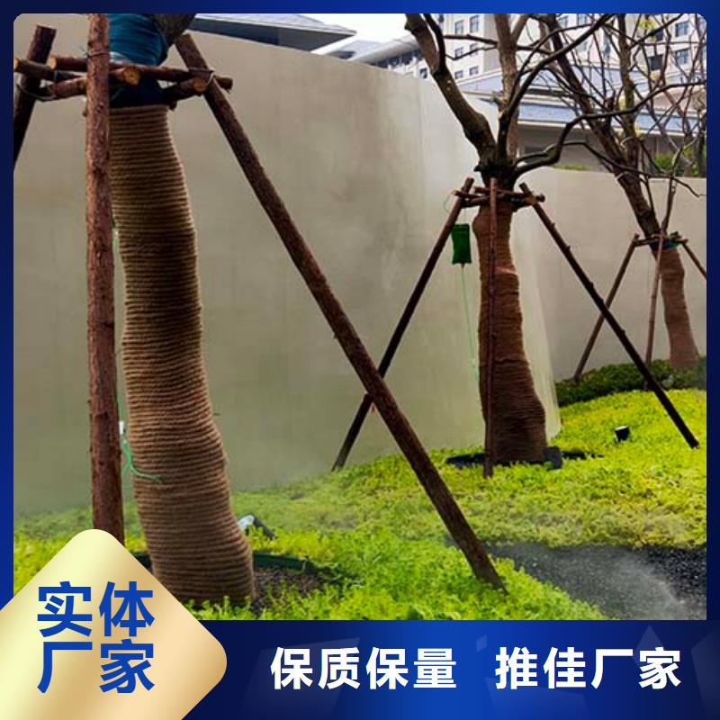 水泥漆,內(nèi)墻灰泥檢驗發(fā)貨