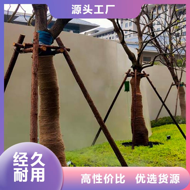 水泥漆,高光馬來漆現貨銷售