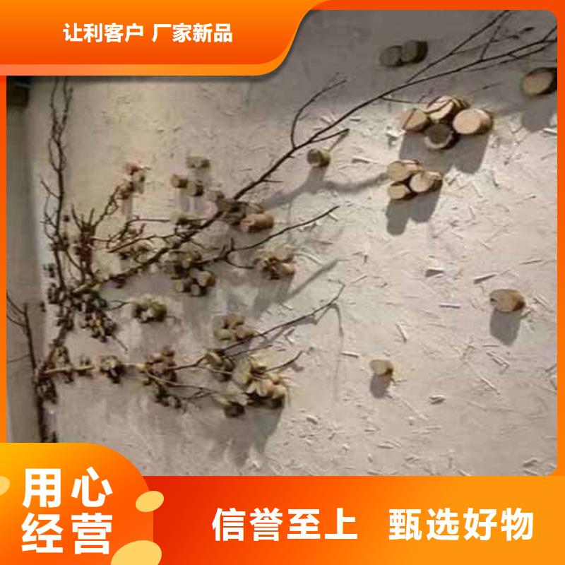 雅晶石無機(jī)質(zhì)感灰泥用心做好細(xì)節(jié)