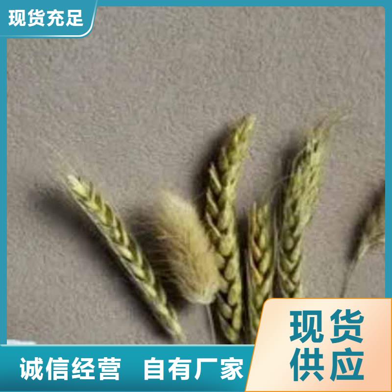 雅晶石【馬來漆】品類齊全