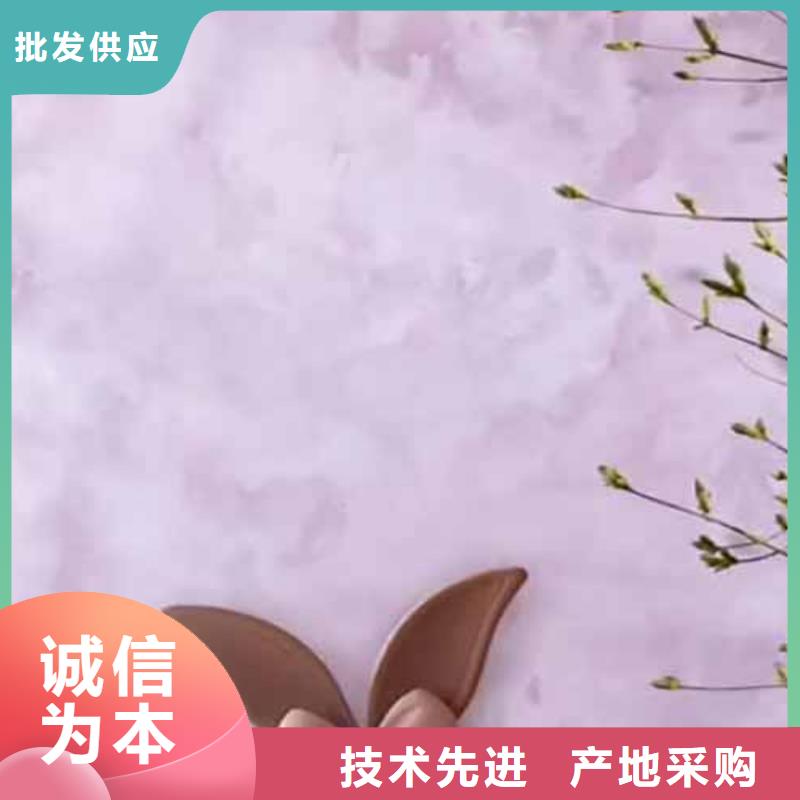 天鵝絨藝術漆夯土漆品質之選