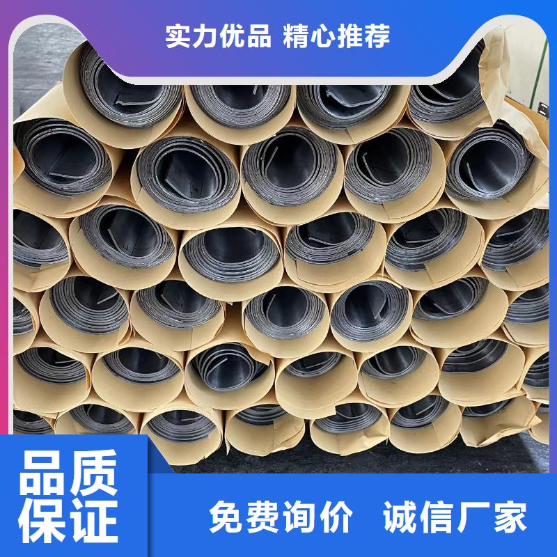 鉛門【放射源儲存罐】訂購