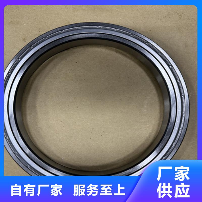 定制不銹鋼雙滾珠軸承的批發(fā)商