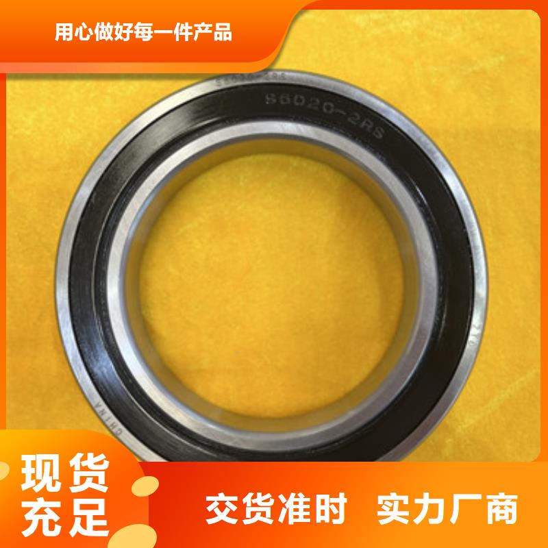 s6010m軸承