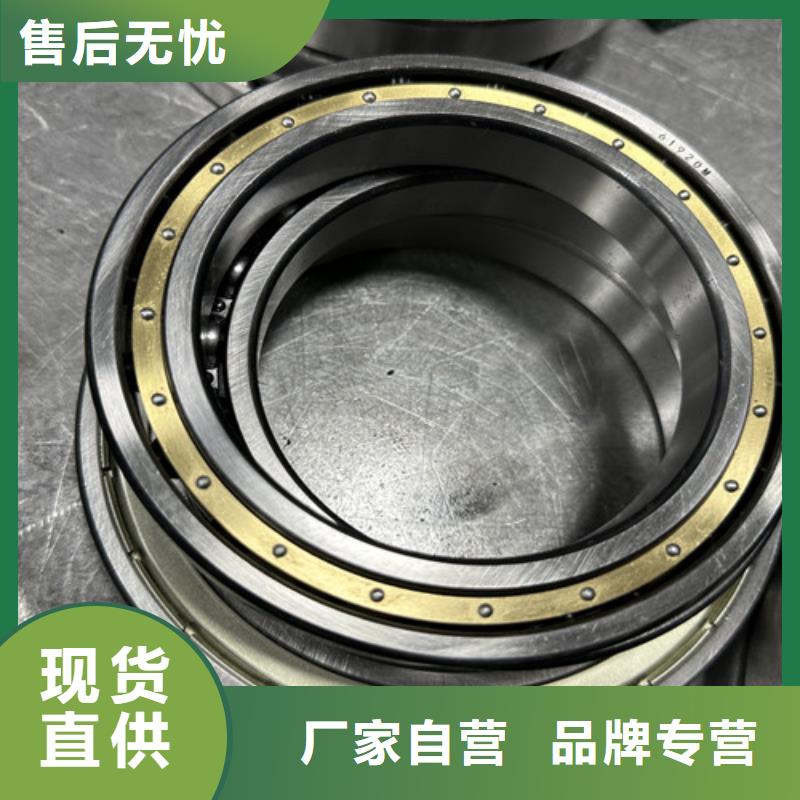s6013-2rs軸承