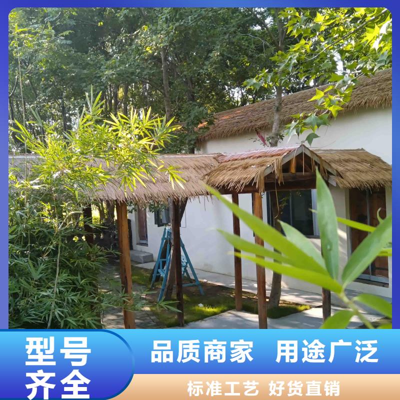 一層自建房農村